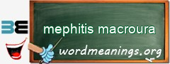 WordMeaning blackboard for mephitis macroura